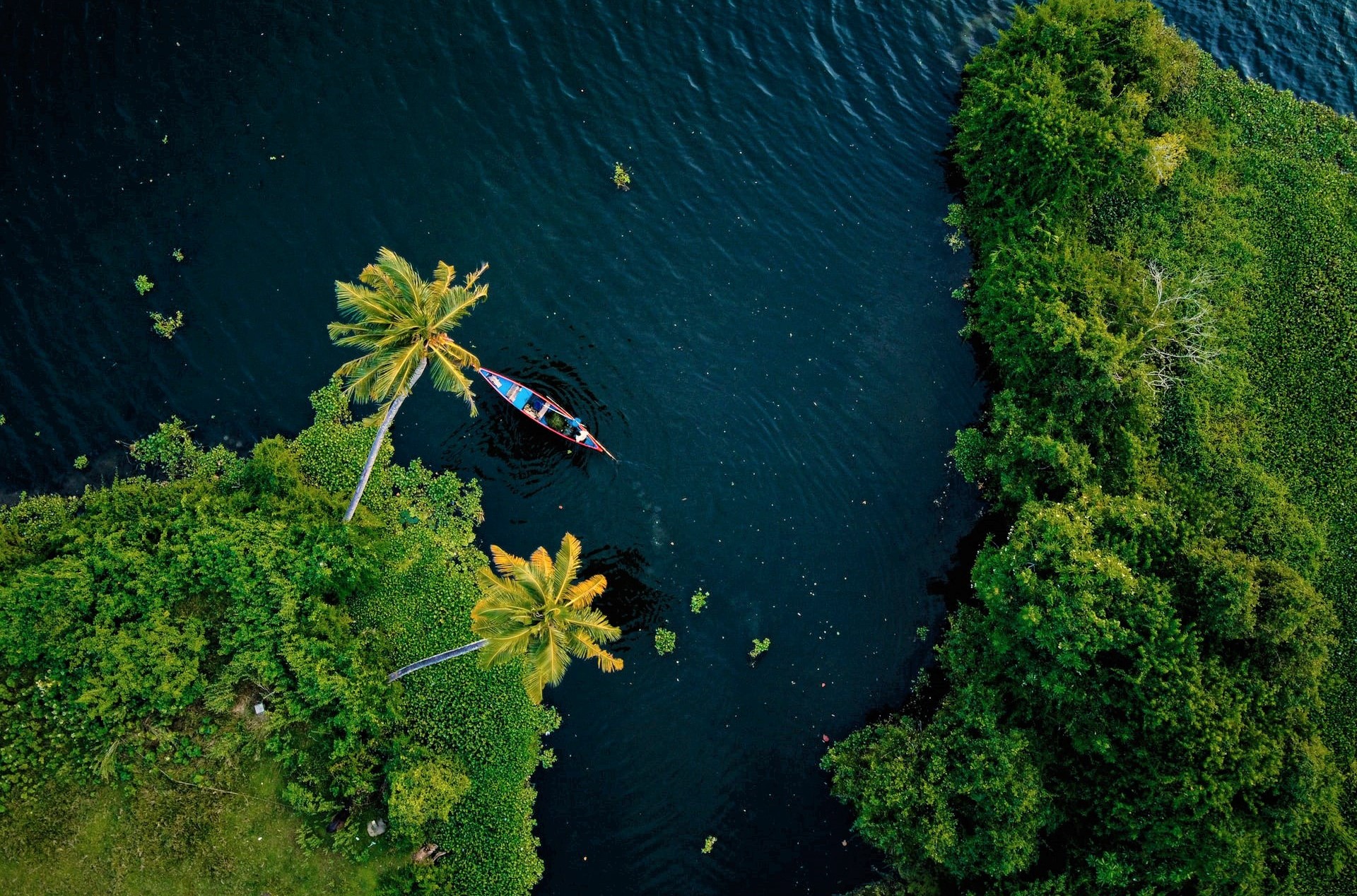 anantha-krishnan-87N0Pq3hgSE-unsplash